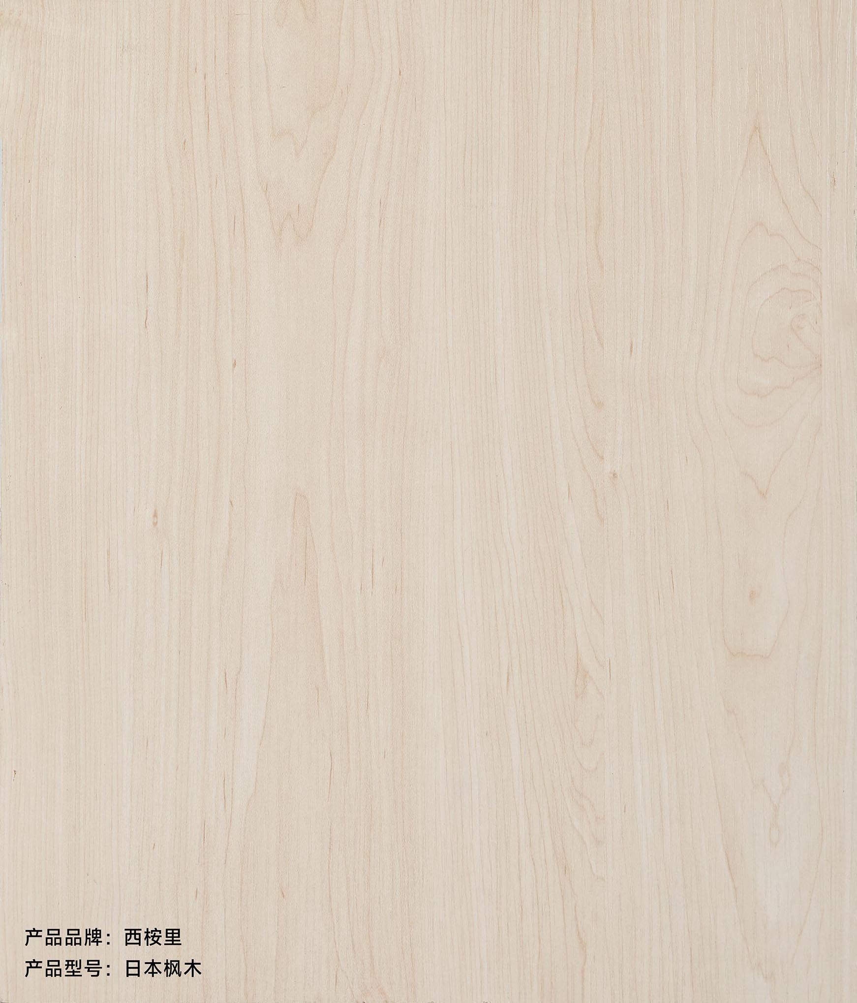 西桉里生态板-日本枫木