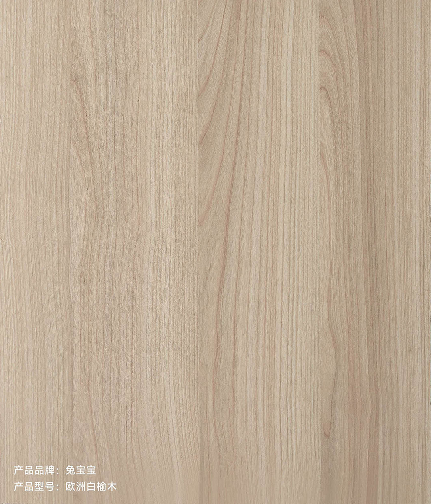 兔宝宝E0级生态板-欧洲白榆木
